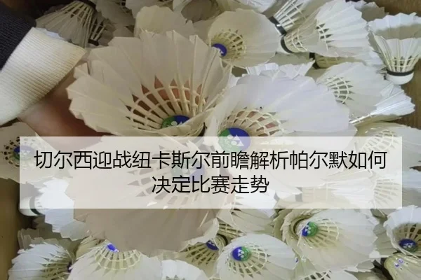 切尔西迎战纽卡斯尔前瞻解析帕尔默如何决定比赛走势